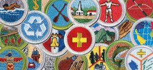 A picture showing different merit badges