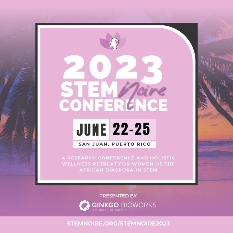 2023 STEM Noire Conference flyer